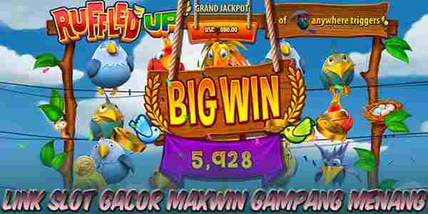 Link Judi Slot Gacor Maxwin Resmi Terpercaya Gampang Menang Ruffled Up